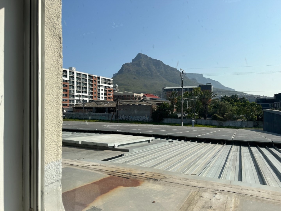 To Let commercial Property for Rent in Observatory Western Cape